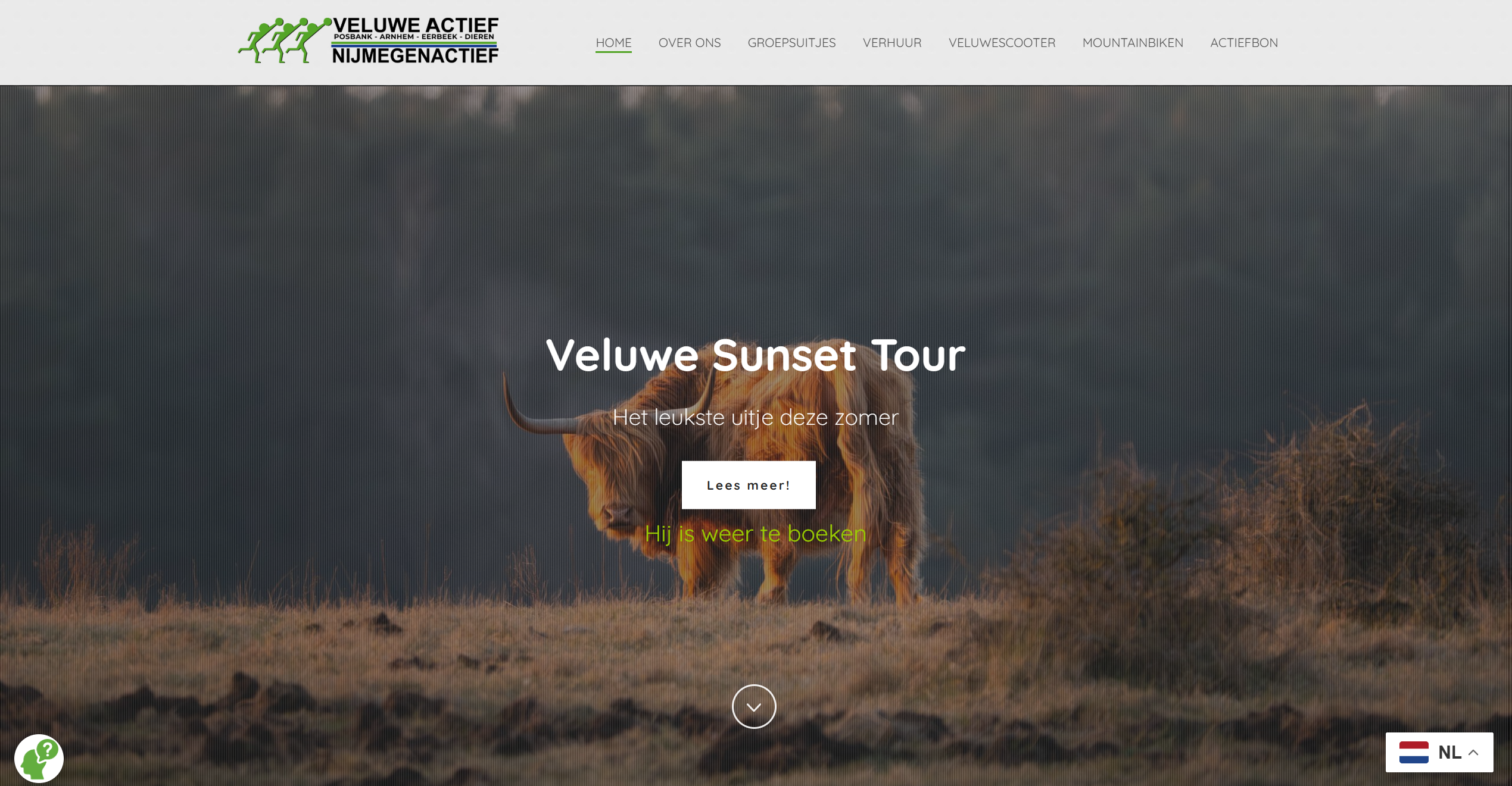 Screenshot van de website van Veluwe Actief